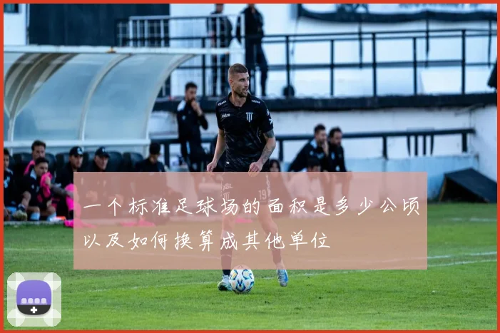 一个标准足球场的面积是多少公顷以及如何换算成其他单位